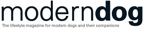 modern dog

