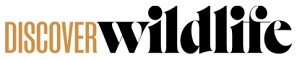 DISCOVER wildlife

