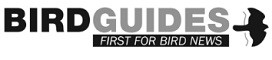 BIRD GUIDES
